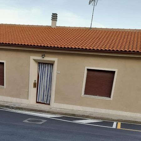 La Casina Di Guido Apartment Chianni Bagian luar foto